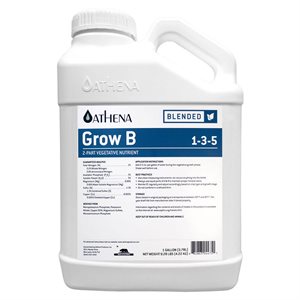 ATHENA GROW B 4L (1)