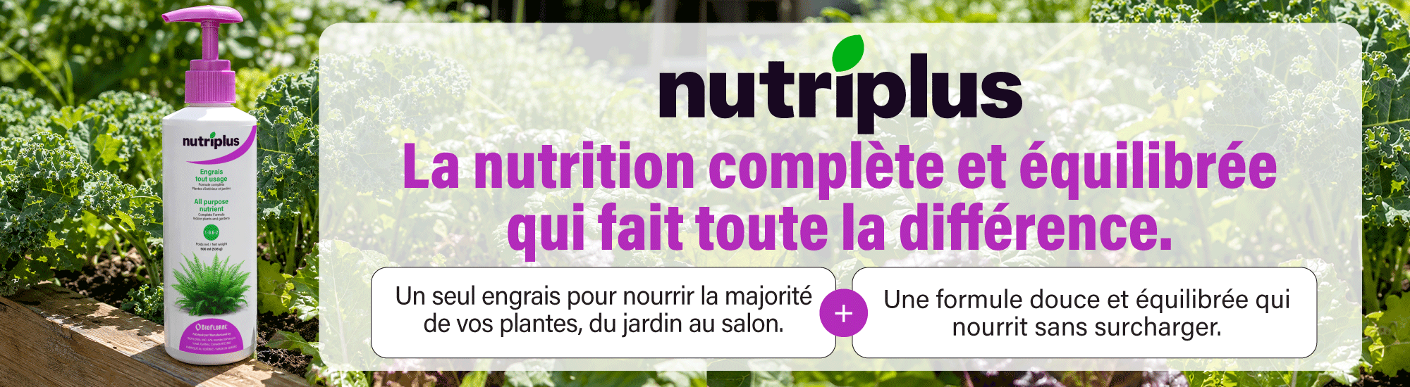 Nutriplus_tout_usage_FR